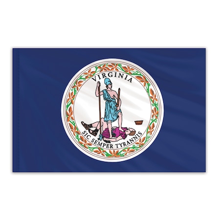 Virginia Indoor Nylon Flag 6'x10'
